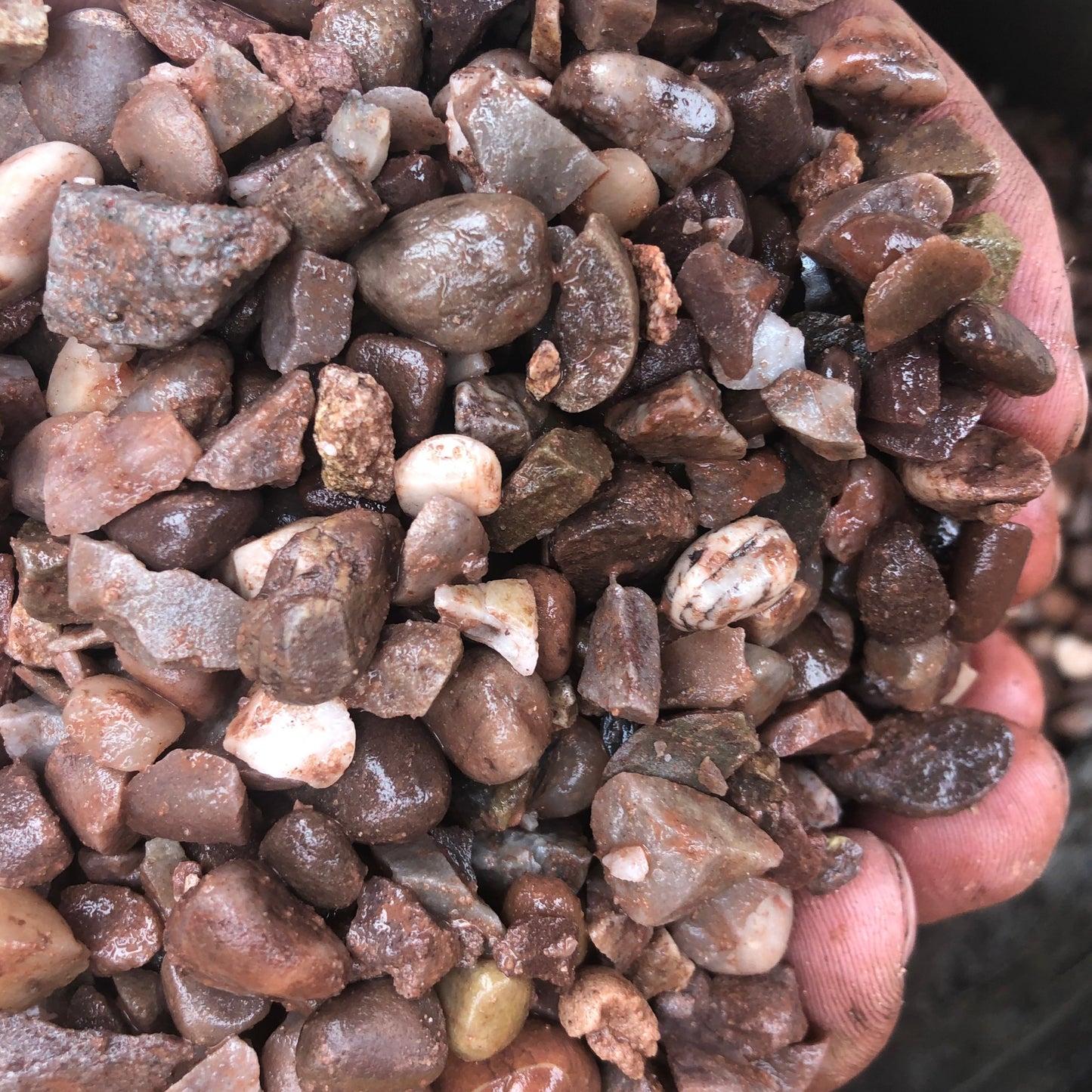 Staffordshire Pink Gravel