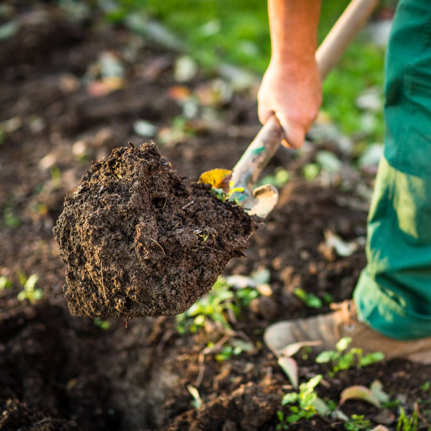 Multi-Purpose Topsoil