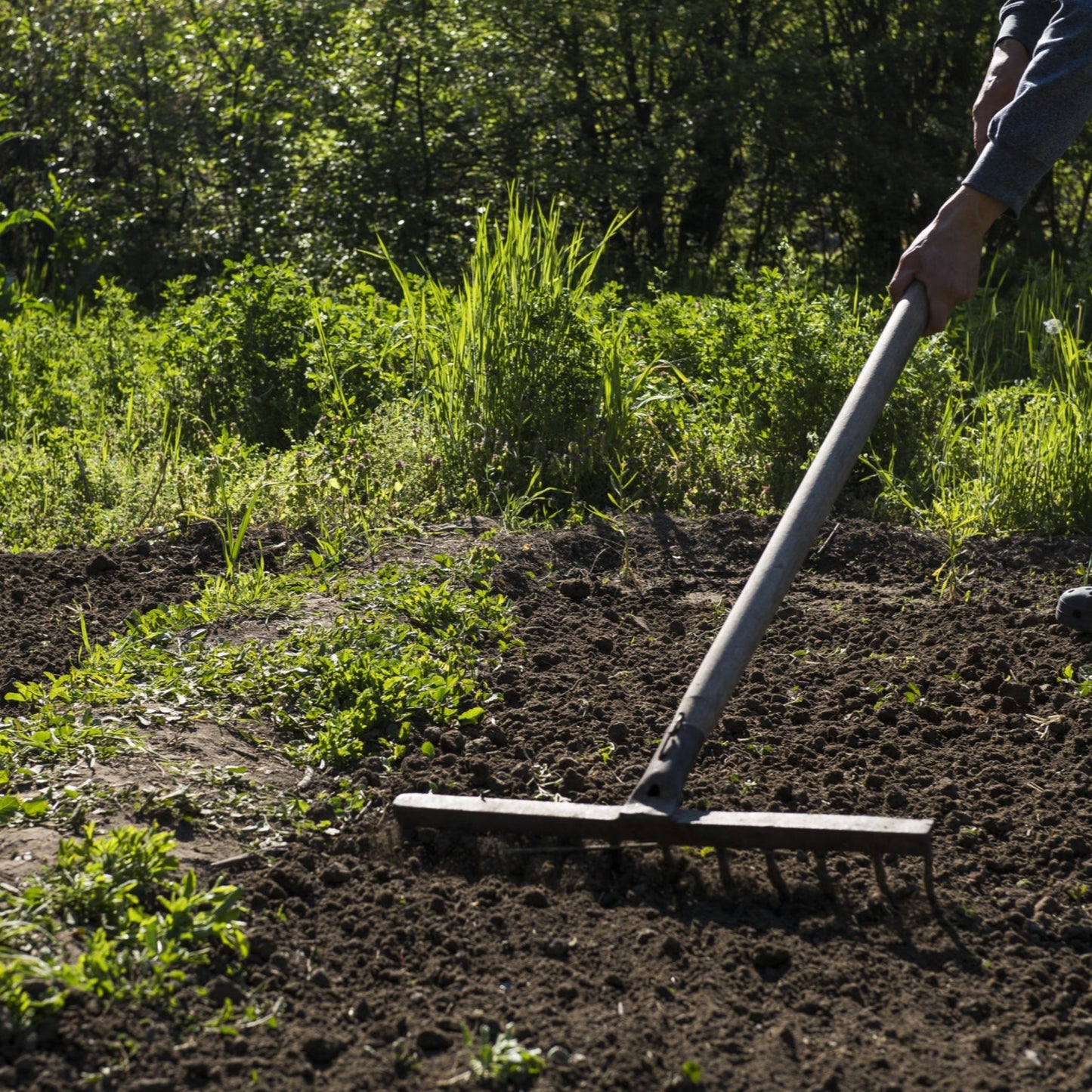 Multi-Purpose Topsoil