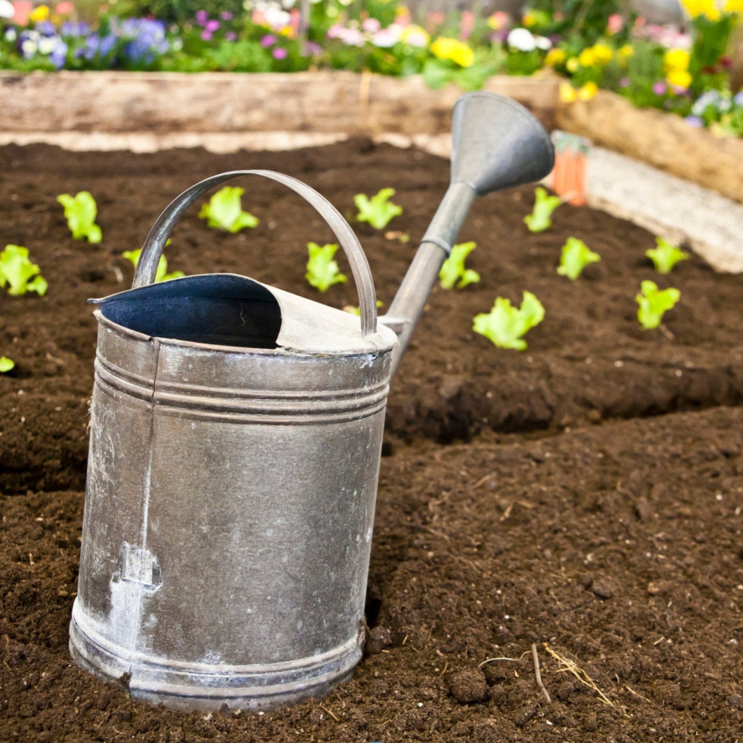 Veggie Mix Topsoil