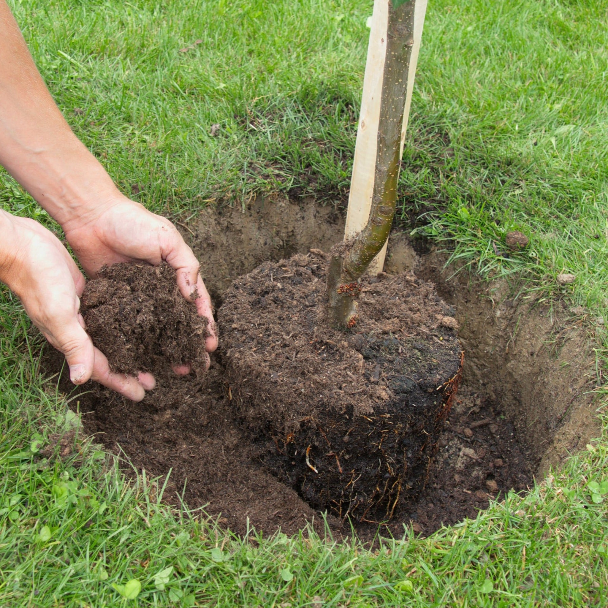 Shop Topsoil For Trees And Shrubs Bulk Bag | Nationwide Delivery ...