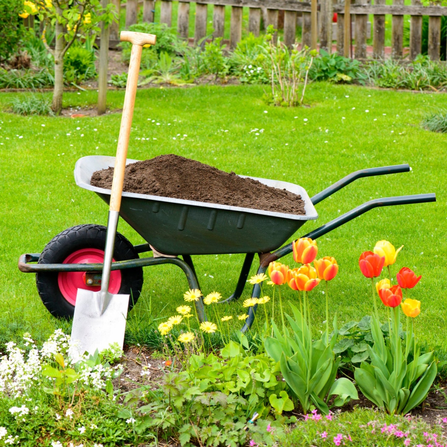 Multi-Purpose Peat Free Compost