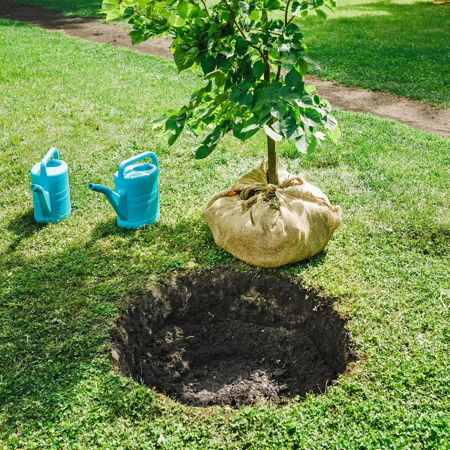 Tree & Shrub Mix Topsoil