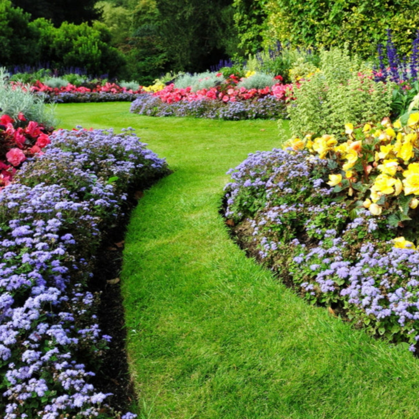 Flower Bed & Border Mix Topsoil